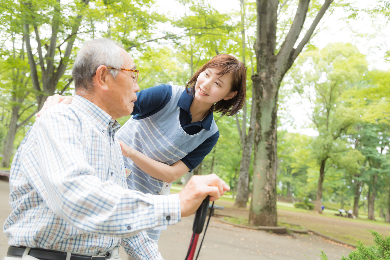 認知症ケア専門士ってなに 資格の取得条件から難易度まで徹底解説 介護ノート